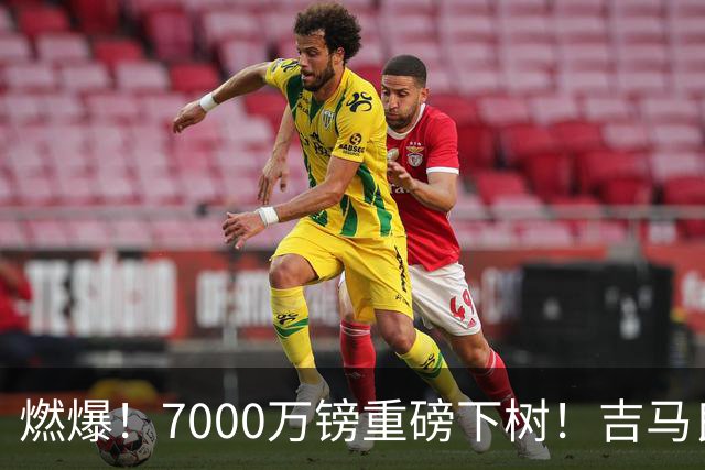 燃爆！7000万镑重磅下树！吉马良斯敲定阿森纳，枪迷终于等到期盼已久中场强援
