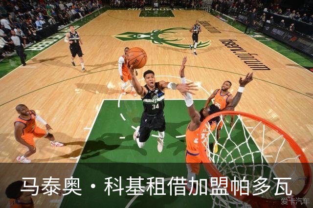 马泰奥·科基租借加盟帕多瓦
